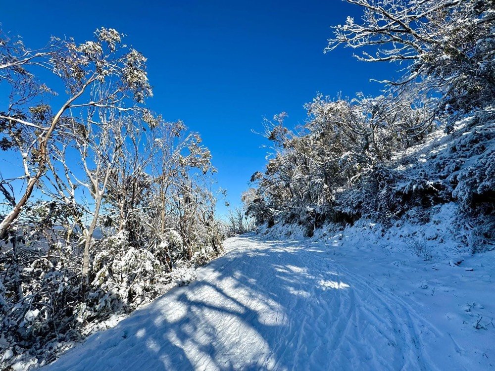 A snow-covered trail at Lake Mountain